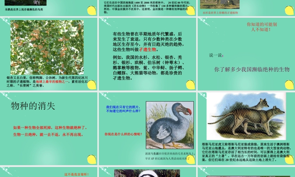 六年级科学上册 第2章 第3节 濒临绝种的生物课件 牛津上海版五四制-牛津上海版小学六年级上册自然科学课件