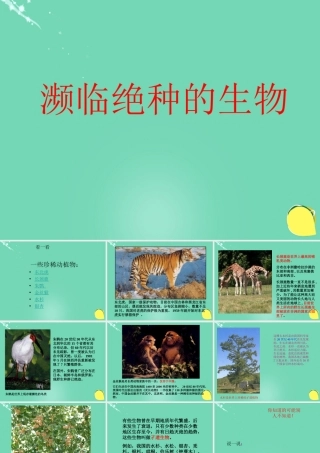 六年级科学上册 第2章 第3节 濒临绝种的生物课件 牛津上海版五四制-牛津上海版小学六年级上册自然科学课件