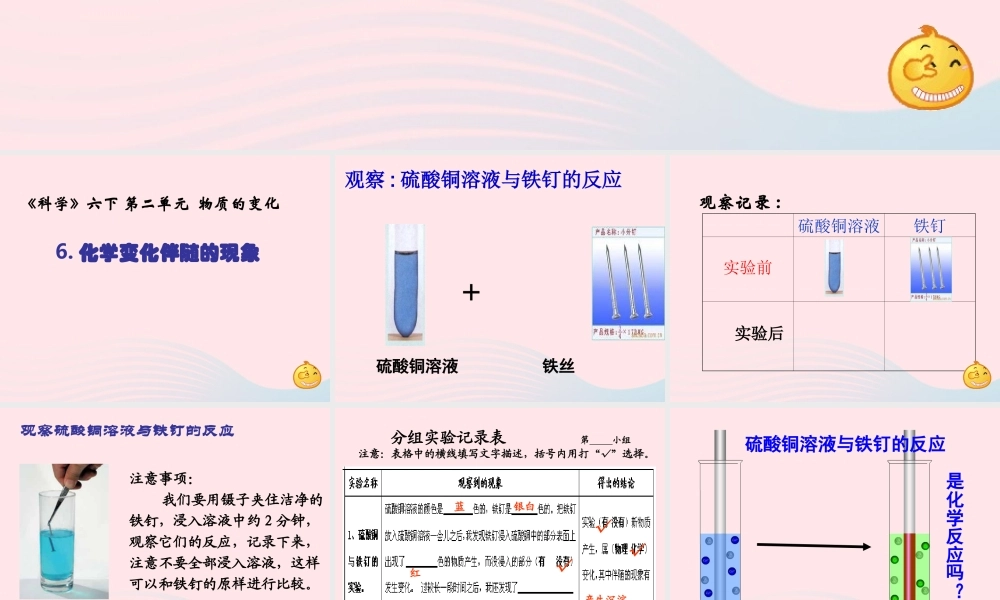 六年级科学下册 第二单元 物质的变化 6《化学变化伴随的现象》教学课件 教科版-教科版小学六年级下册自然科学课件