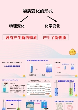 六年级科学下册 第二单元 物质的变化 6《化学变化伴随的现象》教学课件 教科版-教科版小学六年级下册自然科学课件