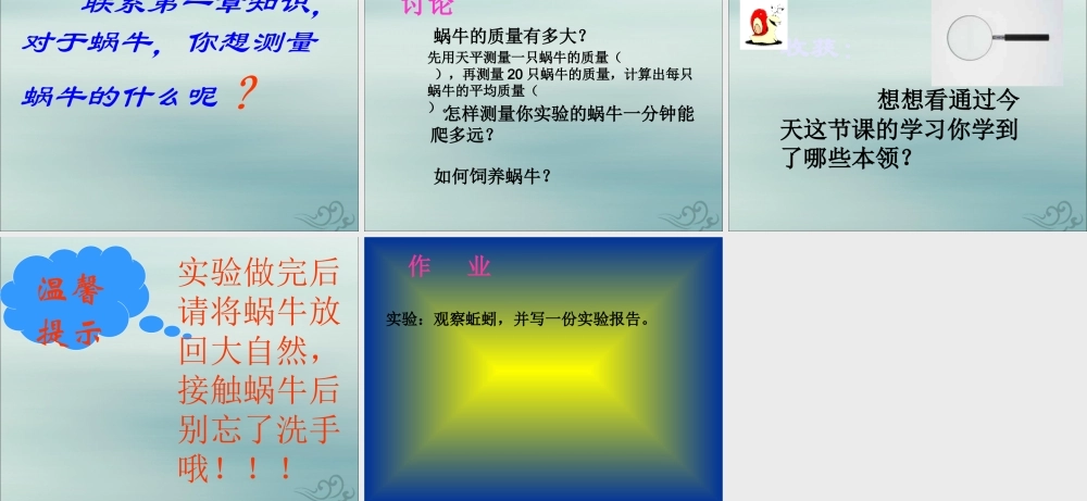 六年级科学上册 第2章 生物的世界 2.1 生物 观察蜗牛教学课件 牛津上海版-牛津上海版小学六年级上册自然科学课件