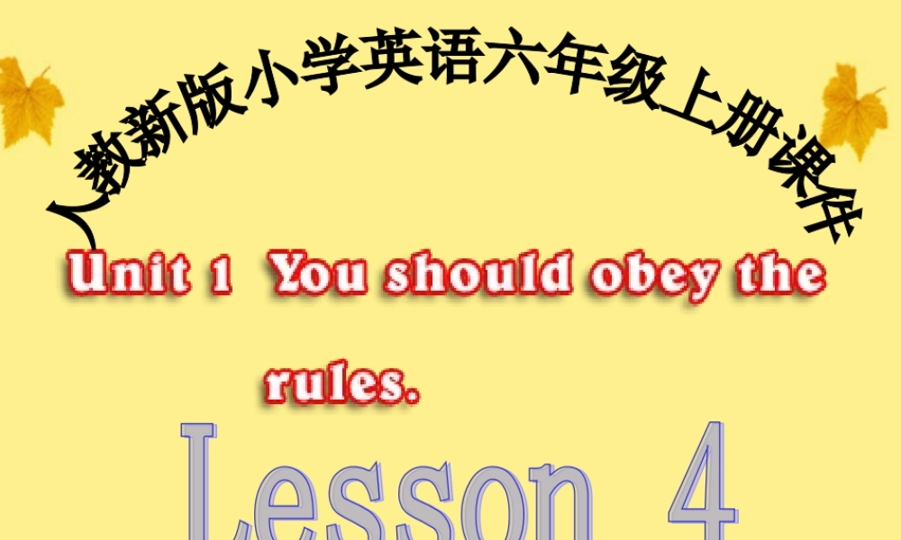 六年级英语上册 Lesson4课件 人教新版