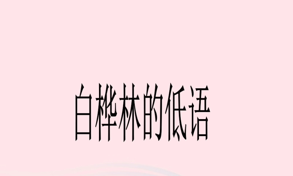 六年级语文上册 1.3 白桦林的低语课件 北师大版-北师大版小学六年级上册语文课件