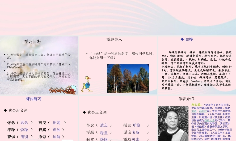 六年级语文上册 1.3 白桦林的低语课件 北师大版-北师大版小学六年级上册语文课件