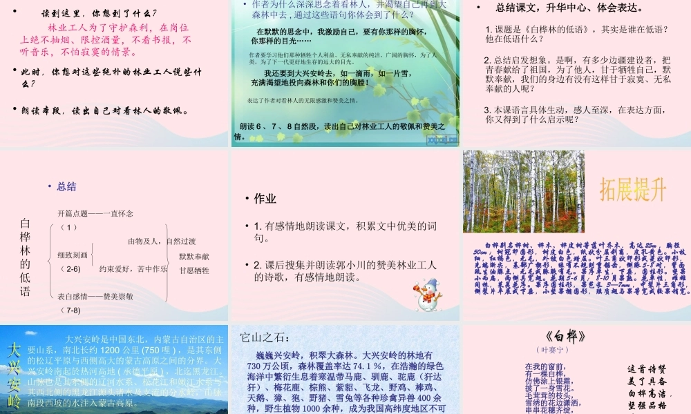 六年级语文上册 1.3 白桦林的低语课件 北师大版-北师大版小学六年级上册语文课件