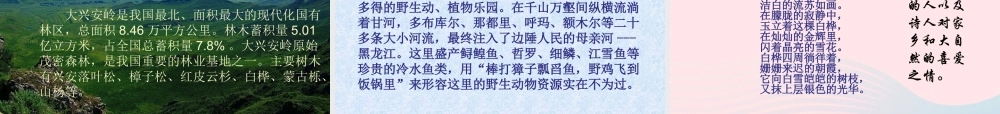 六年级语文上册 1.3 白桦林的低语课件 北师大版-北师大版小学六年级上册语文课件