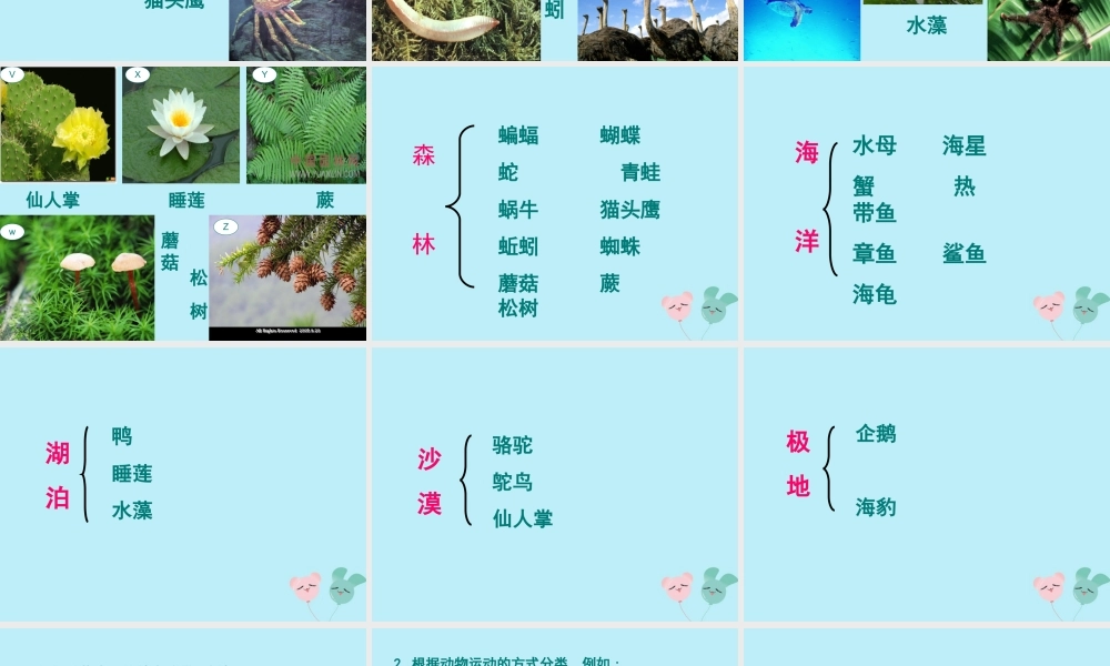 六年级科学上册 第2章 生物的世界 2.3 分类 动植物的分类教学课件 牛津上海版-牛津上海版小学六年级上册自然科学课件