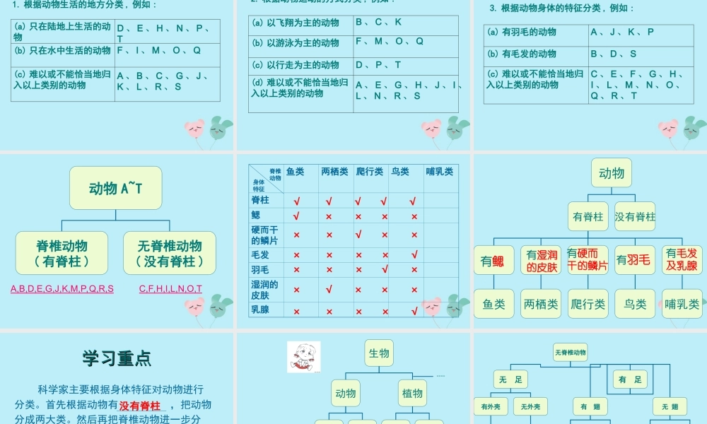 六年级科学上册 第2章 生物的世界 2.3 分类 动植物的分类教学课件 牛津上海版-牛津上海版小学六年级上册自然科学课件