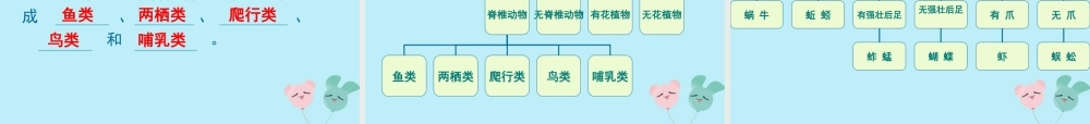 六年级科学上册 第2章 生物的世界 2.3 分类 动植物的分类教学课件 牛津上海版-牛津上海版小学六年级上册自然科学课件