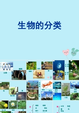 六年级科学上册 第2章 生物的世界 2.3 分类 动植物的分类教学课件 牛津上海版-牛津上海版小学六年级上册自然科学课件