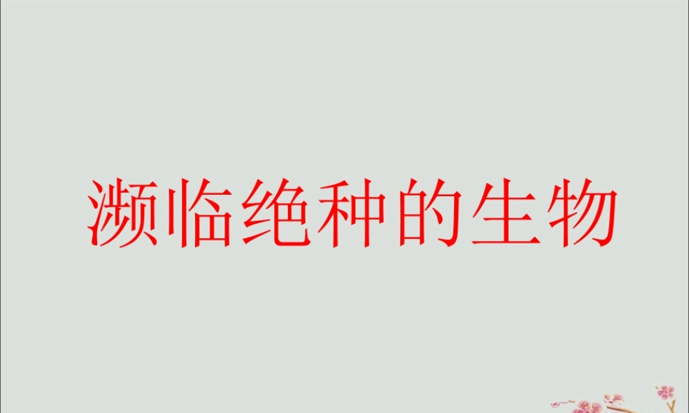 六年级科学上册 第2章 生物的世界 2.4 濒临灭绝的生物 一些珍稀动植物教学课件 牛津上海版-牛津上海版小学六年级上册自然科学课件