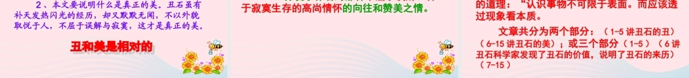 六年级语文上册 2.1 丑石课件2 北师大版-北师大版小学六年级上册语文课件