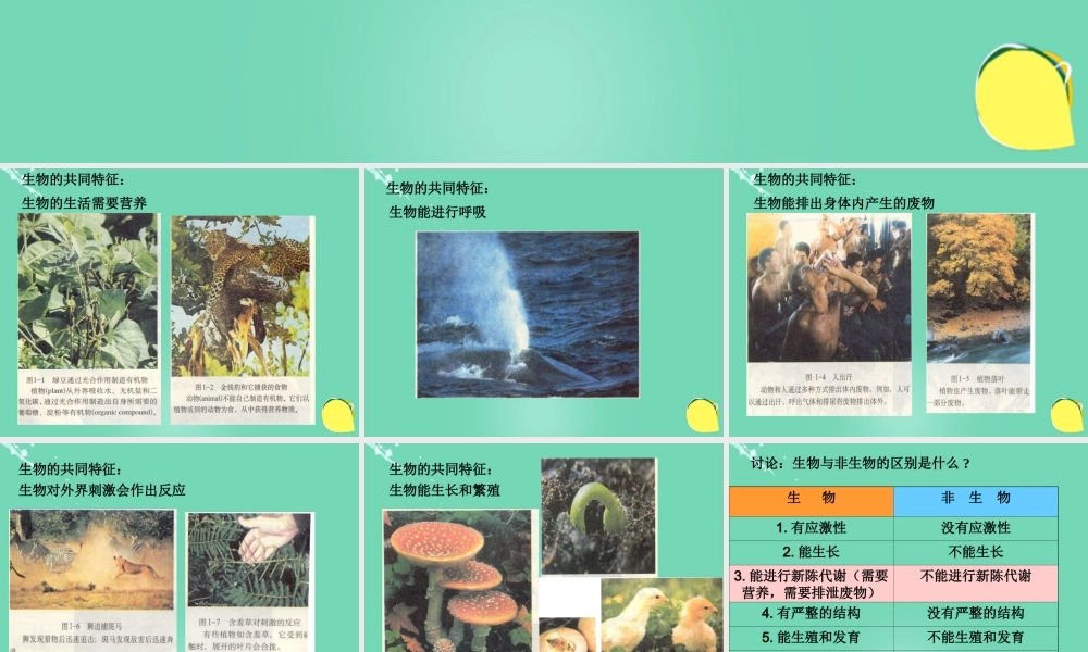 六年级科学上册 第2章 生物世界复习课件 牛津上海版五四制-牛津上海版小学六年级上册自然科学课件