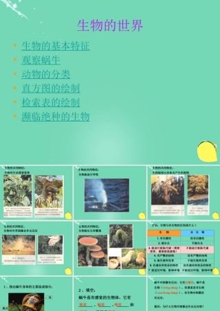 六年级科学上册 第2章 生物世界复习课件 牛津上海版五四制-牛津上海版小学六年级上册自然科学课件