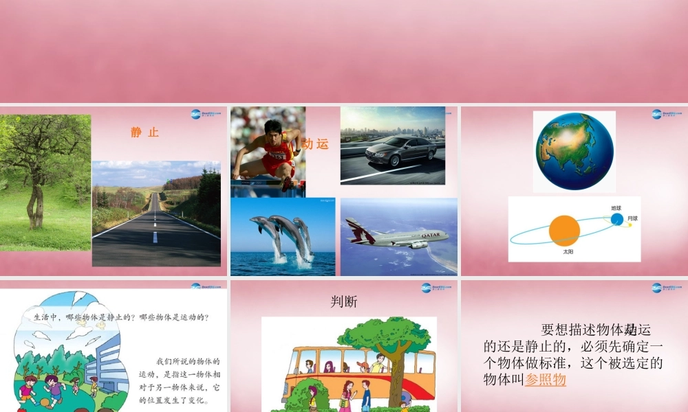 六年级科学上册 第3单元 9 静止和运动课件1 青岛版
