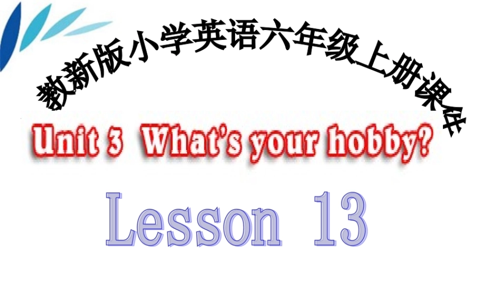 六年级英语上册 Lesson13课件 人教新版