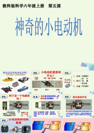 六年级科学上册 3.5 神奇的小电动机课件 教科版-教科版小学六年级上册自然科学课件