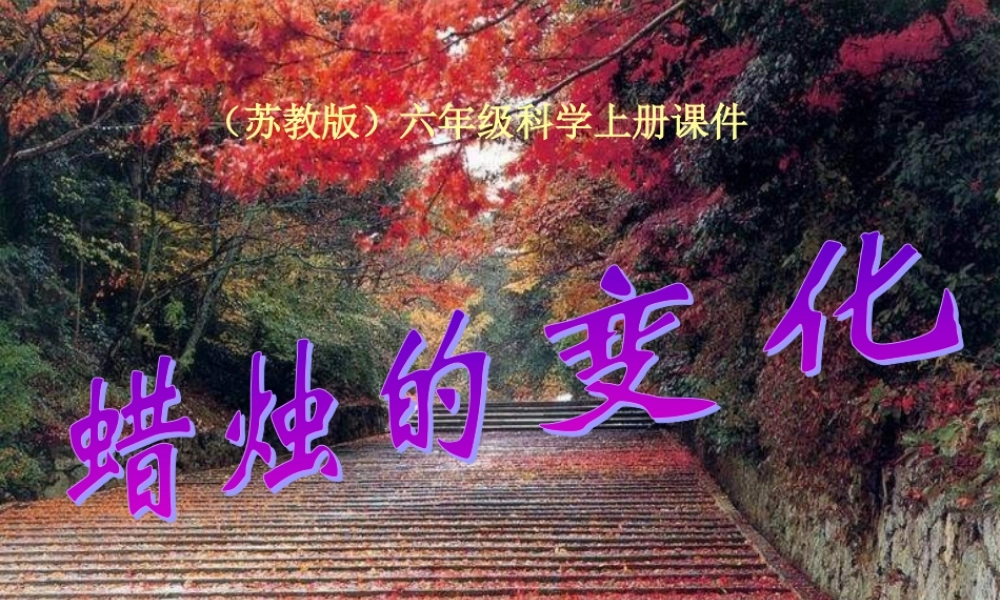 六年级科学上册 蜡烛的变化课件1 苏教版-苏教版小学六年级上册自然科学课件
