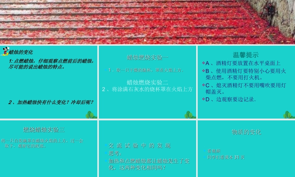 六年级科学上册 蜡烛的变化课件1 苏教版-苏教版小学六年级上册自然科学课件