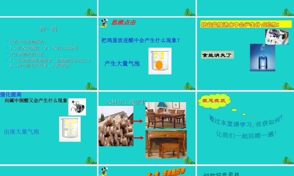 六年级科学上册 蜡烛的变化课件1 苏教版-苏教版小学六年级上册自然科学课件