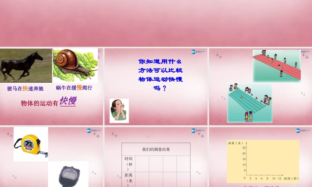 六年级科学上册 第3单元 10 距离和时间课件6 青岛版