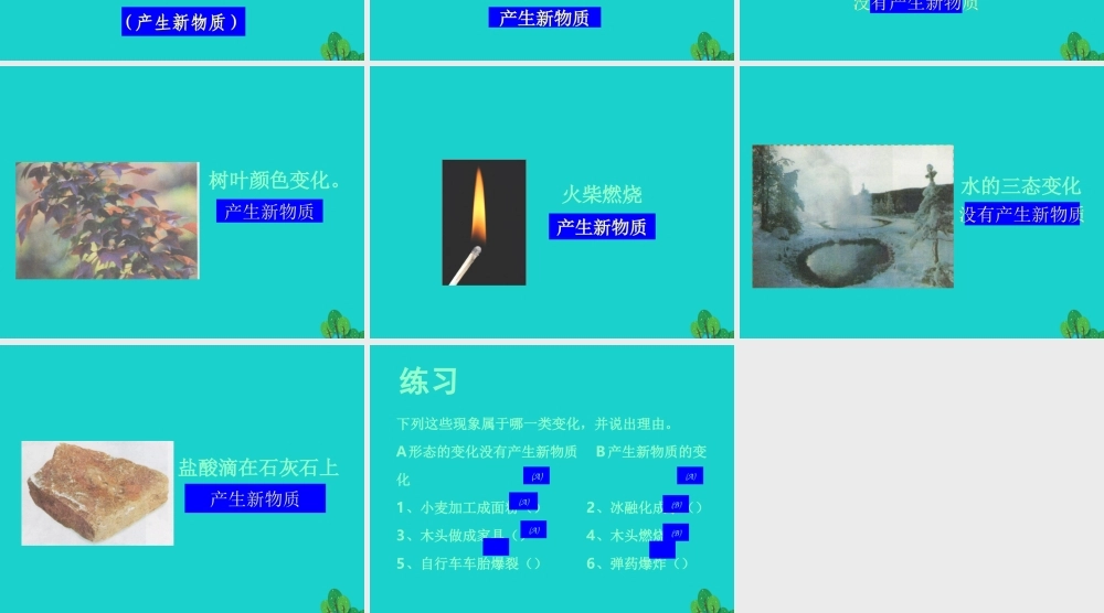 六年级科学上册 蜡烛的变化课件2 苏教版-苏教版小学六年级上册自然科学课件