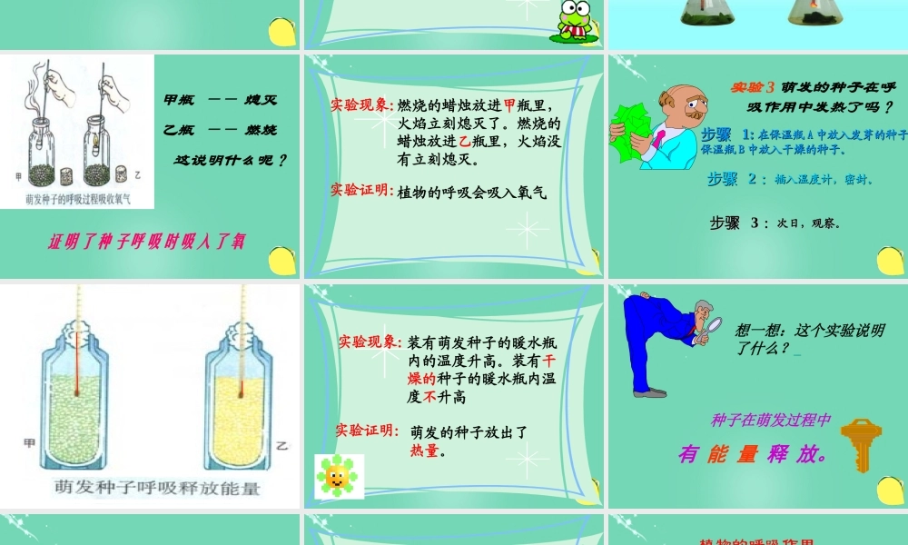 六年级科学下册 第七章 第四节 动植物与大气间的气体交换—植物的呼吸作用课件 牛津上海版五四制-牛津上海版小学六年级下册自然科学课件