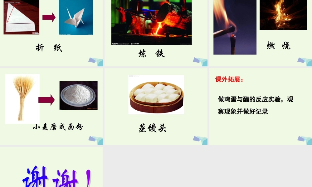 六年级科学上册 蜡烛的变化课件3 青岛版-青岛版小学六年级上册自然科学课件