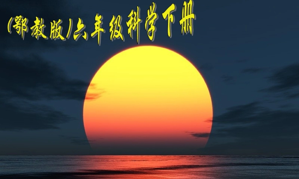 六年级科学下册 第三单元 9《太阳与动植物》课件 鄂教版-鄂教版小学六年级下册自然科学课件
