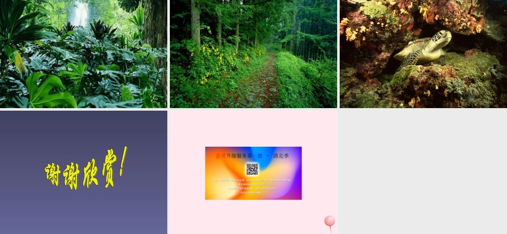 六年级科学下册 第三单元 9《太阳与动植物》课件 鄂教版-鄂教版小学六年级下册自然科学课件