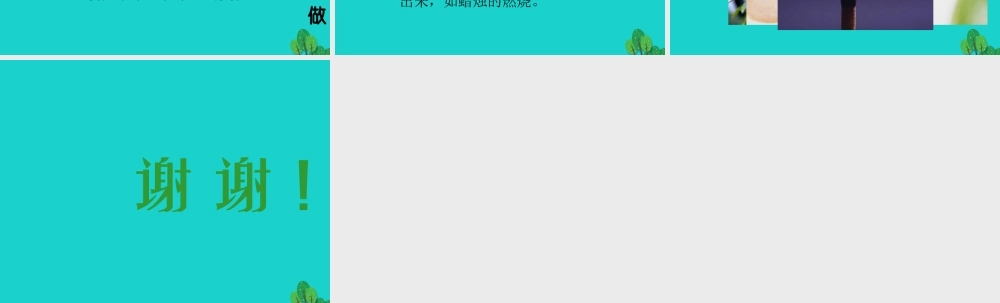 六年级科学上册 蜡烛的变化课件4 苏教版-苏教版小学六年级上册自然科学课件