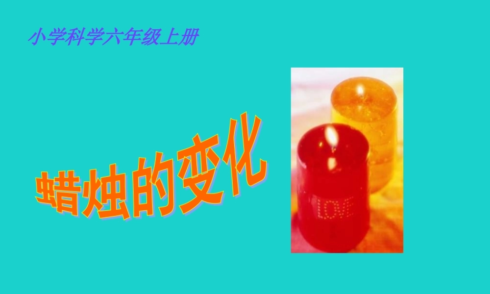 六年级科学上册 蜡烛的变化课件5 苏教版-苏教版小学六年级上册自然科学课件