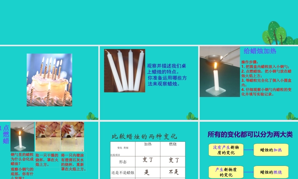 六年级科学上册 蜡烛的变化课件5 苏教版-苏教版小学六年级上册自然科学课件