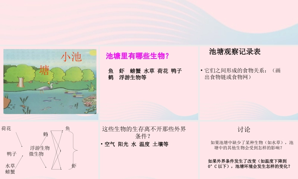 六年级科学下册 第三单元 有序的生态系统 第10课《小池塘大世界》课件（1） 冀教版-冀教版小学六年级下册自然科学课件