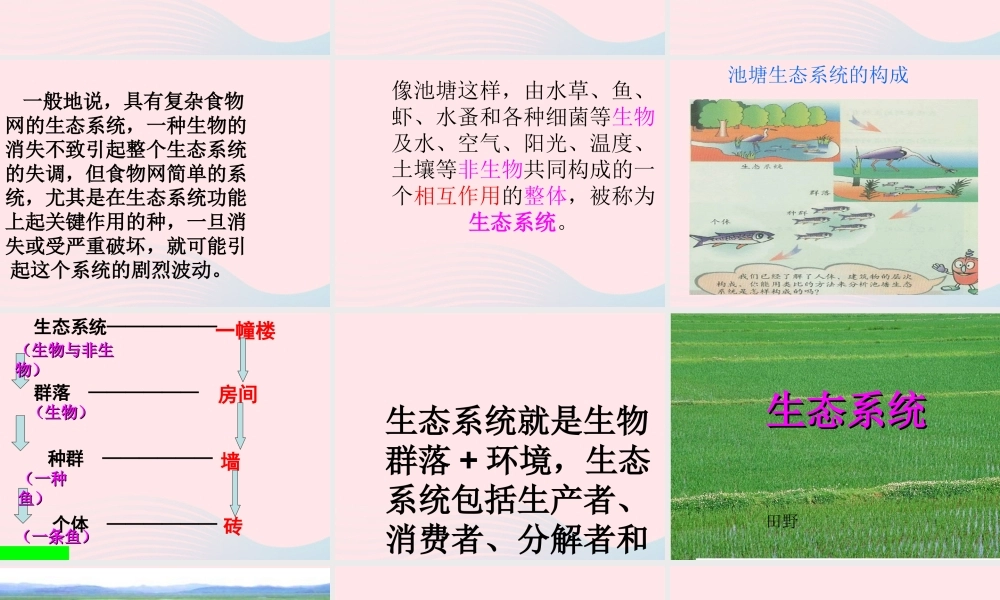六年级科学下册 第三单元 有序的生态系统 第10课《小池塘大世界》课件（1） 冀教版-冀教版小学六年级下册自然科学课件