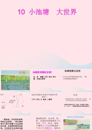 六年级科学下册 第三单元 有序的生态系统 第10课《小池塘大世界》课件（1） 冀教版-冀教版小学六年级下册自然科学课件