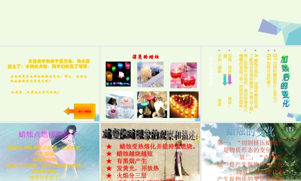 六年级科学上册 蜡烛的变化课件6 青岛版-青岛版小学六年级上册自然科学课件