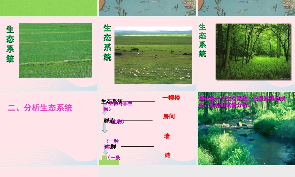 六年级科学下册 第三单元 有序的生态系统 第10课《小池塘大世界》课件（2） 冀教版-冀教版小学六年级下册自然科学课件