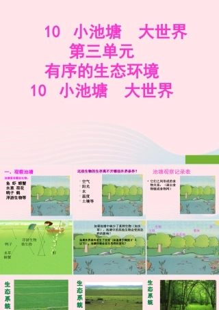 六年级科学下册 第三单元 有序的生态系统 第10课《小池塘大世界》课件（2） 冀教版-冀教版小学六年级下册自然科学课件