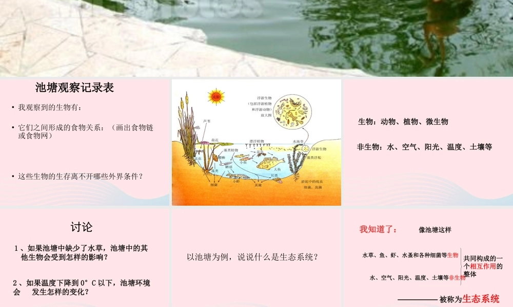 六年级科学下册 第三单元 有序的生态系统 第10课《小池塘大世界》课件（3） 冀教版-冀教版小学六年级下册自然科学课件