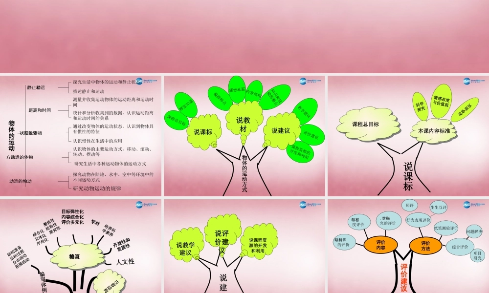 六年级科学上册 第3单元 12 物体的运动方式说课课件 青岛版