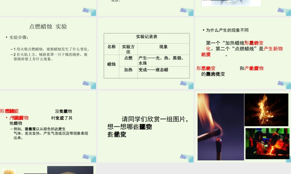 六年级科学上册 蜡烛的变化课件11 青岛版-青岛版小学六年级上册自然科学课件