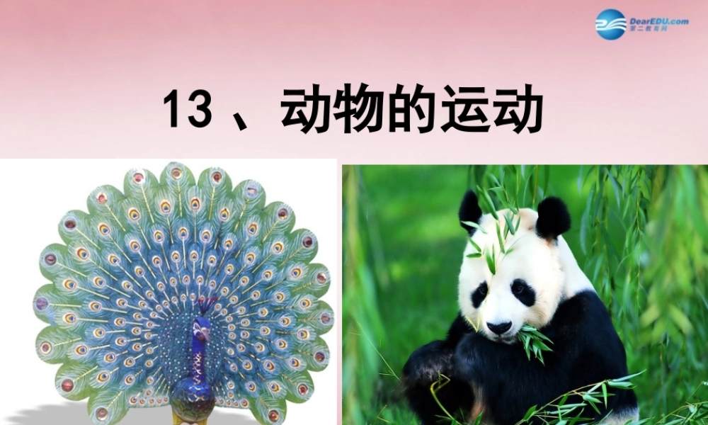 六年级科学上册 第3单元 13 动物的运动课件2 青岛版