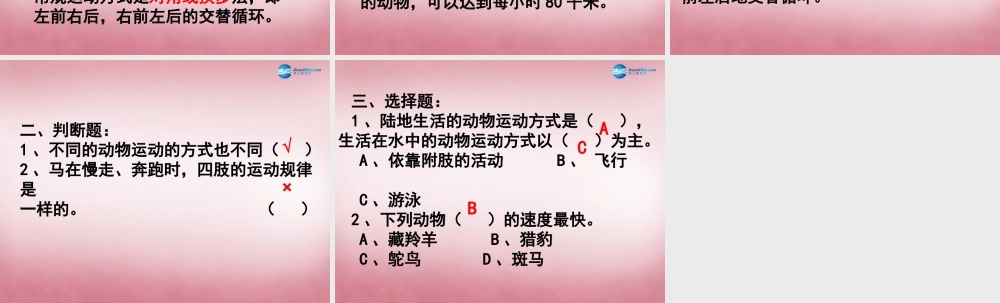 六年级科学上册 第3单元 13 动物的运动课件2 青岛版