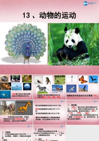 六年级科学上册 第3单元 13 动物的运动课件2 青岛版
