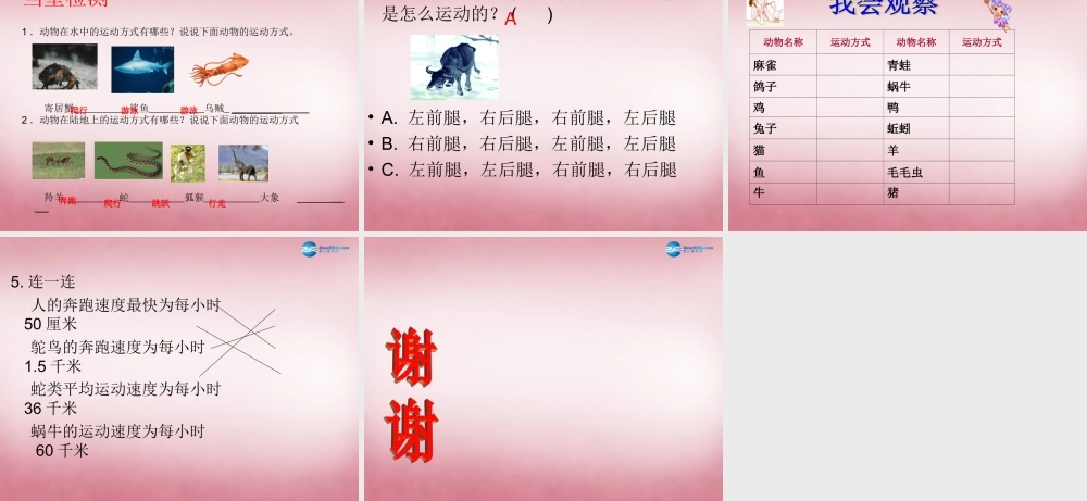 六年级科学上册 第3单元 13 动物的运动课件3 青岛版