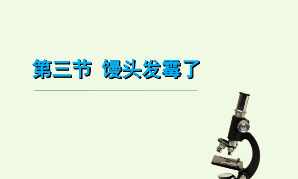 六年级科学上册 馒头发霉了课件1 青岛版-青岛版小学六年级上册自然科学课件