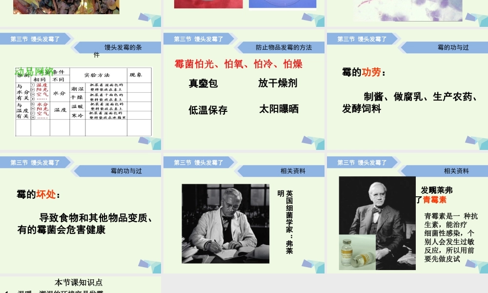 六年级科学上册 馒头发霉了课件1 青岛版-青岛版小学六年级上册自然科学课件