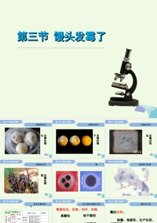 六年级科学上册 馒头发霉了课件1 青岛版-青岛版小学六年级上册自然科学课件