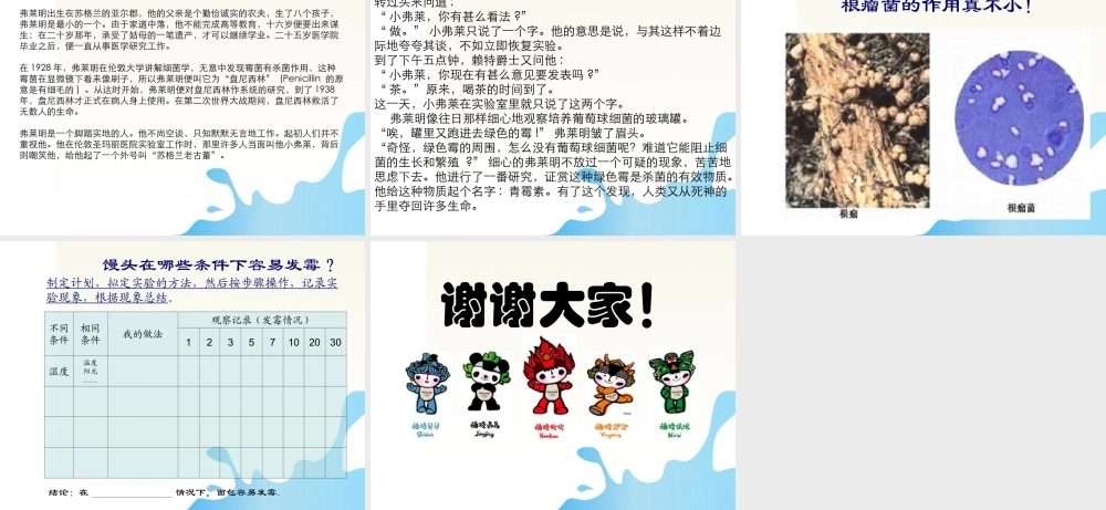 六年级科学上册 馒头发霉了课件1 苏教版